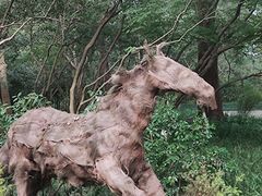 -灵隐飞来峰景区