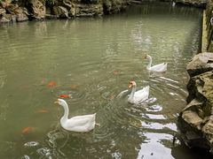 -兰亭风景区