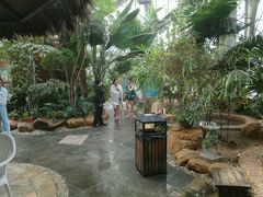 -凤冠假日酒店自助餐