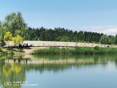 -东郊湿地公园