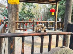 -黄龙溪古镇