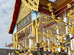 -报恩禅寺
