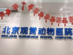 -北京观赏动物医院·24小时大型综合·猫专科·异宠专科