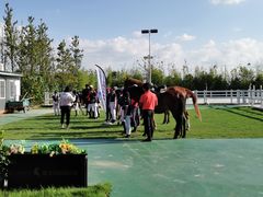 -上海崇明金茂凯悦酒店