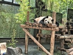-上海野生动物园