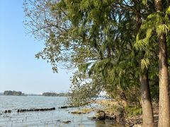 -长广溪湿地公园