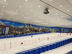 游乐设施-长沙湘江冰雪世界