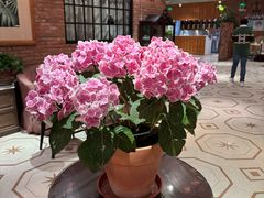 -漢舍中国菜馆(889广场店)