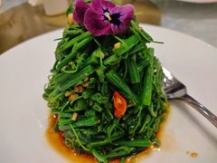 木姜油丝瓜尖-福禧酒窖·中餐厅 (万柳店)