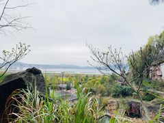 -蛇蟠岛