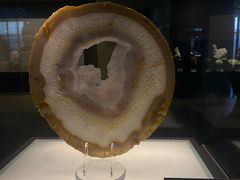 -中华赏石园