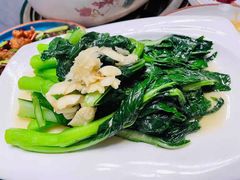 鸡毛菜-金龙·打边炉(武进路店)