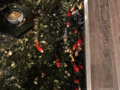 -衡山汇·高级粤菜(霄云路店)