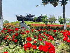 -扬州芍药园(仪征市)