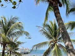 -三亚西岛海洋文化旅游区
