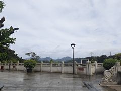 -深圳仙湖植物园