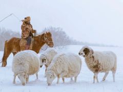 -塞罕坝国家级自然保护区