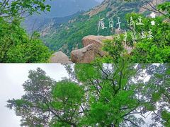 -鲁山国家森林公园