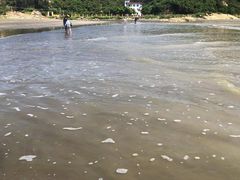 -台山黑沙湾海浴场