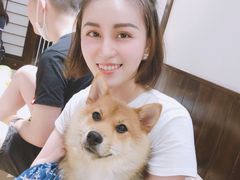 -逗柴咖啡屋·狗咖猫咖宠物桌游