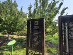 -元大都城垣遗址公园