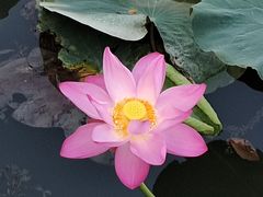 -颐和园