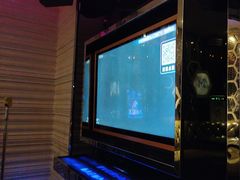-酷麦私人订制KTV