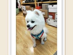 -大连福佳爱琴海购物公园(西安路店)