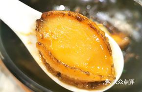 Nine-Head Abalone