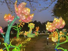 -琅岐红光湖公园