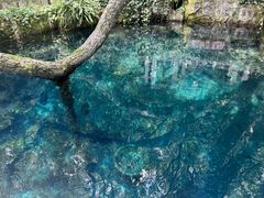 -蝴蝶泉公园