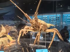 -天津自然博物馆