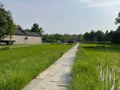 -北坞公园