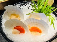 夏威夷扇贝-湊湊火锅·茶憩(新中关购物中心店)