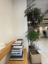 -Hair  Gallery
