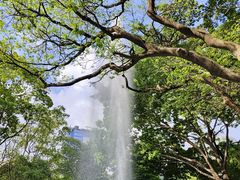 -九龙公园