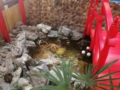-綱元·海鲜豆捞(明州里店)