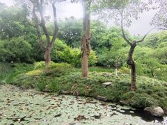 -杭州植物园