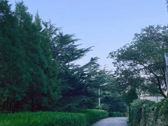 -阳台山自然风景区