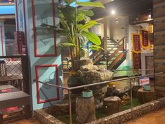 -壹号院音乐餐厅•烤全羊•新疆菜(浐灞店)