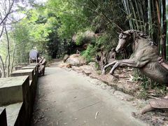 -铁山坪森林公园