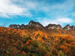 -光雾山旅游景区