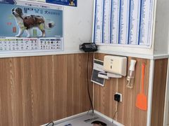 -宠福鑫动物医院(望京分院)