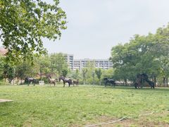 -国家动漫园