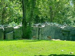 -北京野生动物园