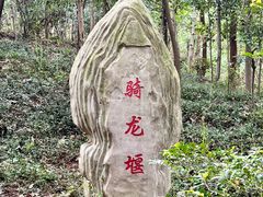 -上海佘山国家森林公园天马山园