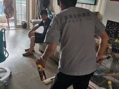 -大宅设计设计店铺(浦东店)