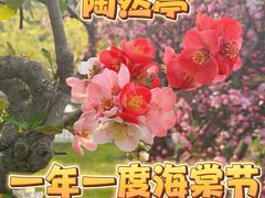 -陶然亭公园