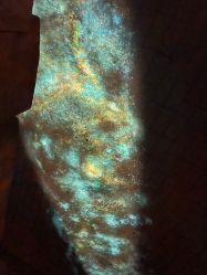 -翱翔飞越地平线