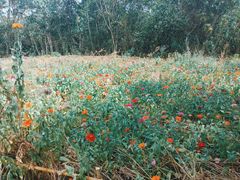 -盘龙城国家考古遗址公园